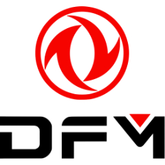 DFM